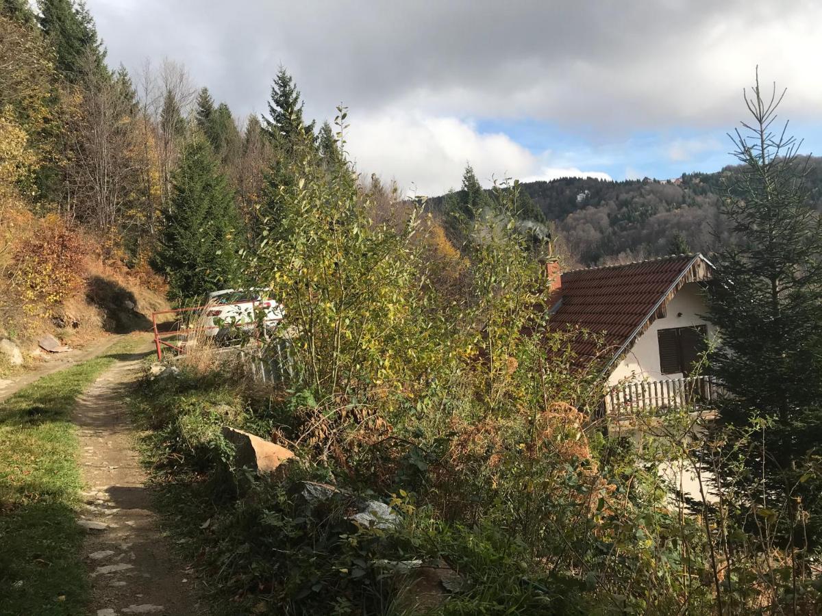 Holiday House Nesovic Kopaonik Exterior photo