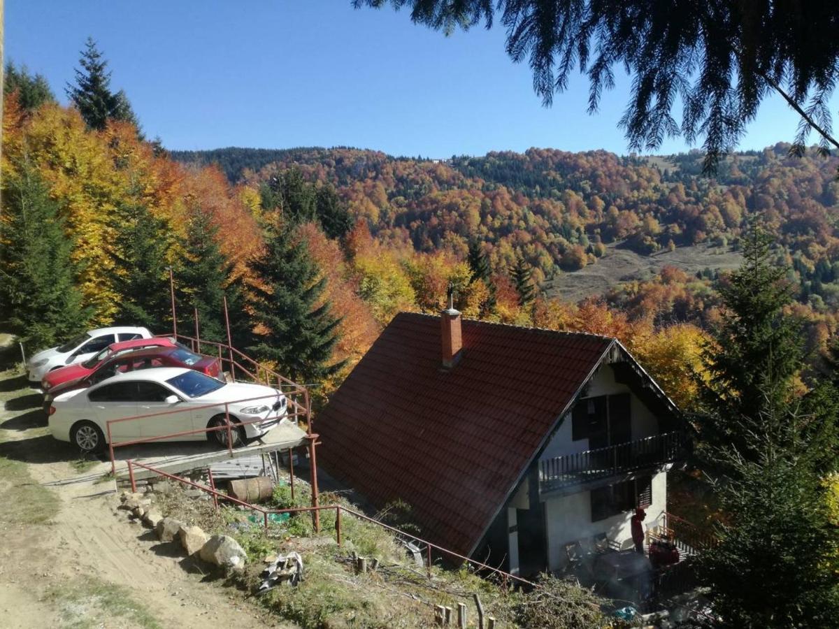 Holiday House Nesovic Kopaonik Exterior photo