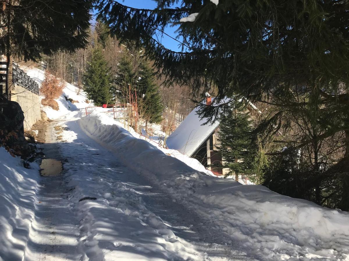 Holiday House Nesovic Kopaonik Exterior photo